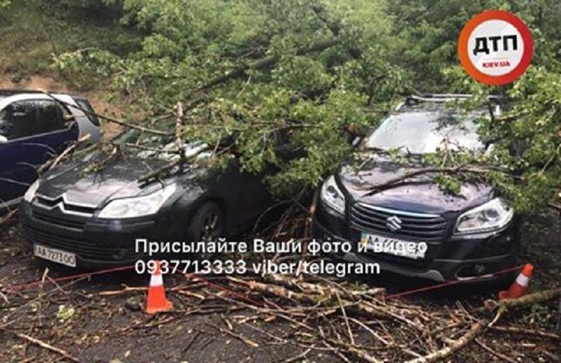 У Києві вирувала негода: фото наслідків стихії У Києві вирувала негода: фото наслідків стихії