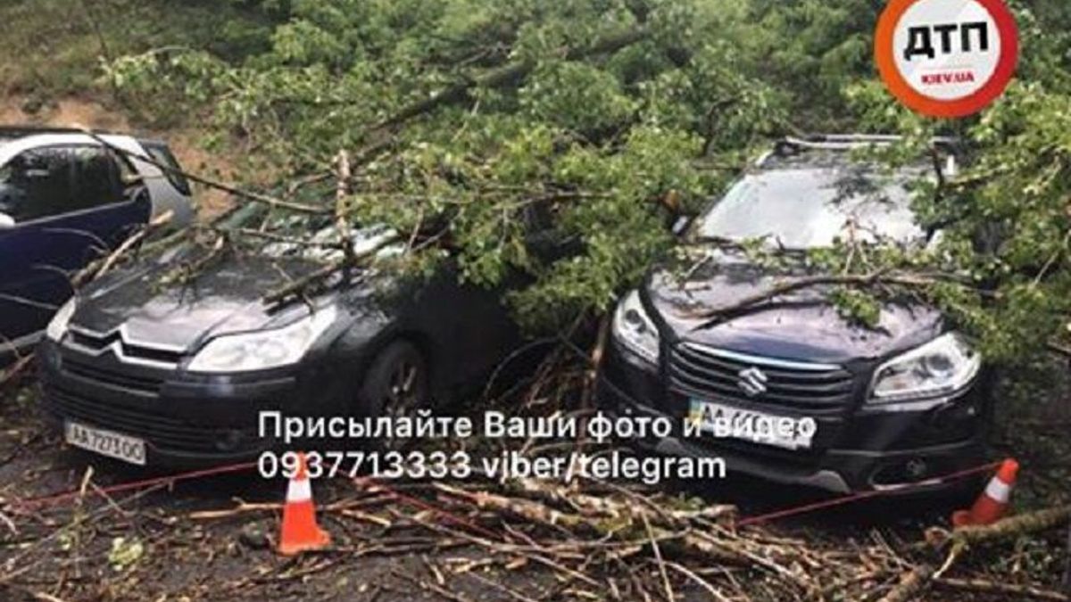 В Киеве бушевала непогода: фото последствий стихии В Киеве бушевала непогода: фото последствий стихии