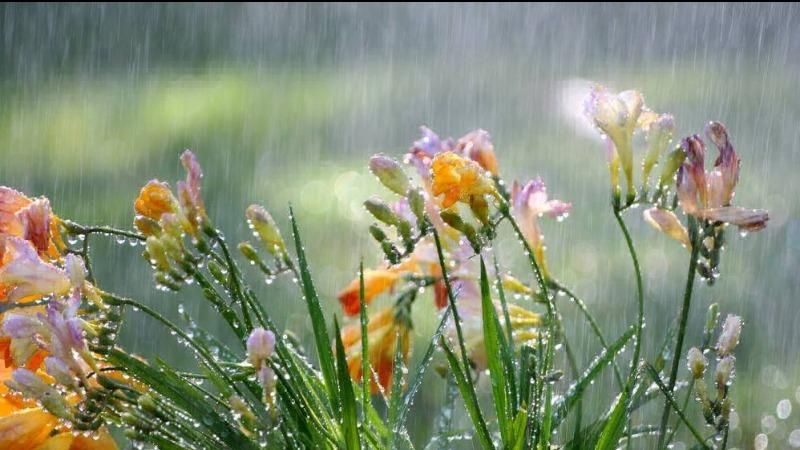 Погода 31.05.17 в Україні пройдуть дощі та грози Погода 31.05.17 в Україні пройдуть дощі та грози