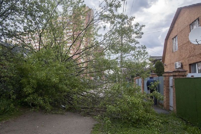 Ураган в Москве: погиб гражданин Украины Ураган в Москве: погиб гражданин Украины
