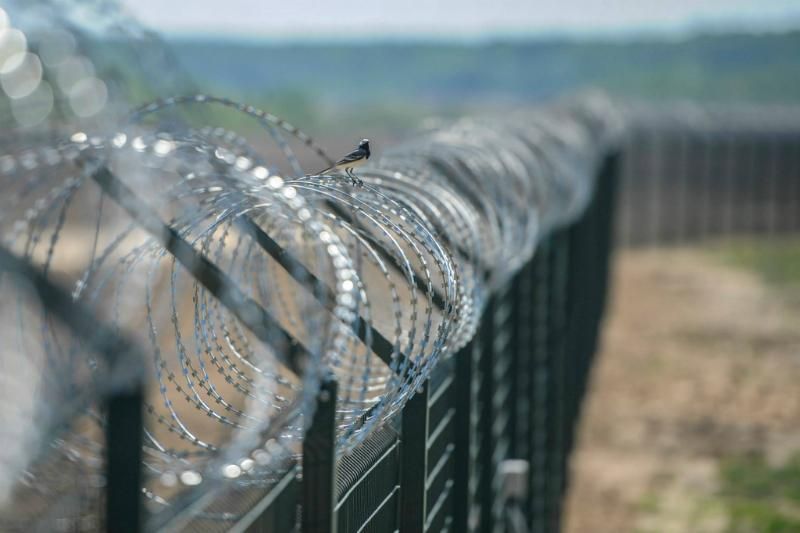 Наступного тижня Литва розпочне будівництво стіни на кордоні з Росією
