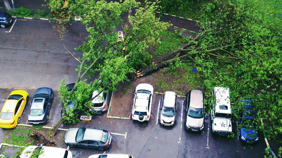 Яку суму збитку завдав ураган у Москві