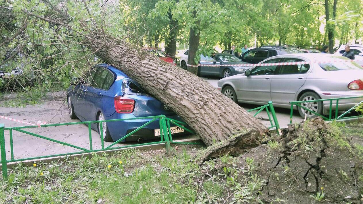 Ураган у Москві: у Путіна наразі не бажають шукати винних у загибелі людей 