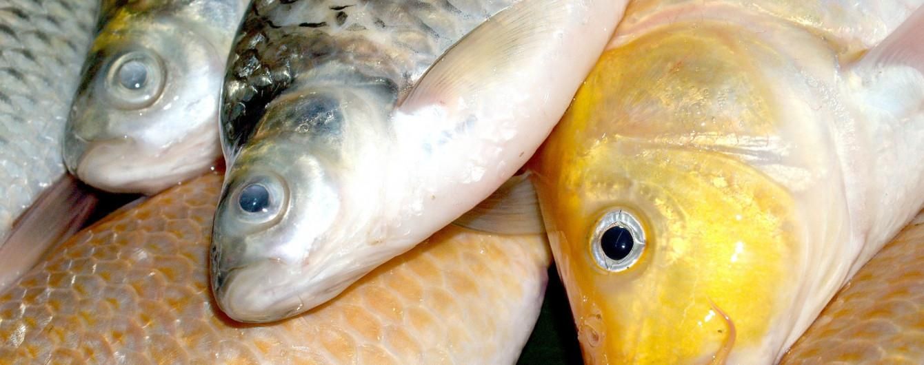 На Херсонщине зарегистрирован случай ботулизма На Херсонщине зарегистрирован случай ботулизма