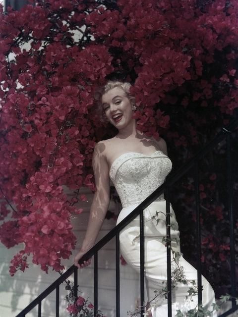 Мерилін Монро в квітах, 1950