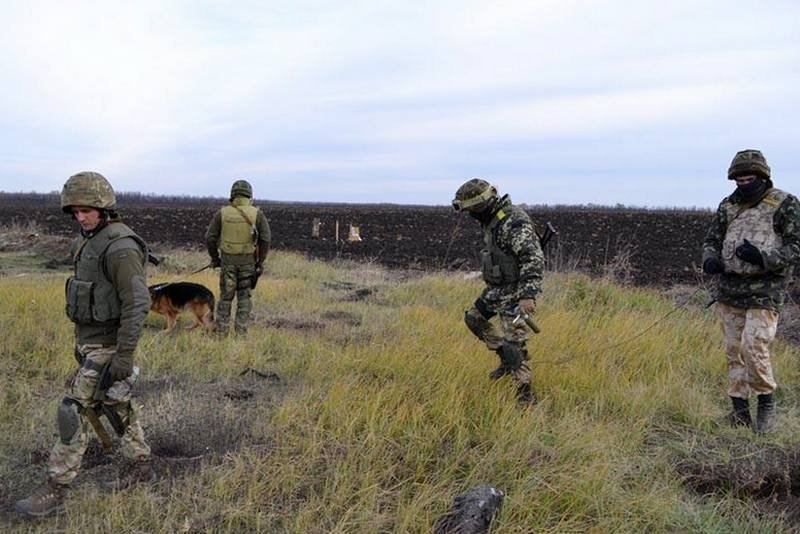 Украинский сапер рассказал, сколько времени уйдет на разминирование Донбасса