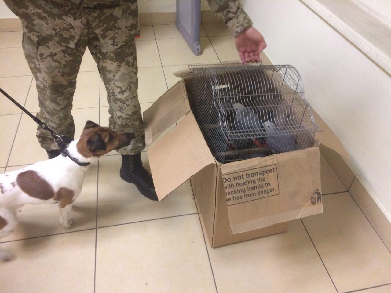 Прикордонники показали незвичну знахідку: фото Прикордонники показали незвичну знахідку: фото