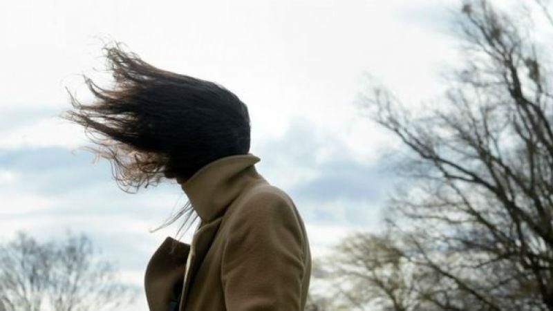 На Киев надвигается штормовой ветер: как действовать, чтобы избежать трагедии На Киев надвигается штормовой ветер: как действовать, чтобы избежать трагедии