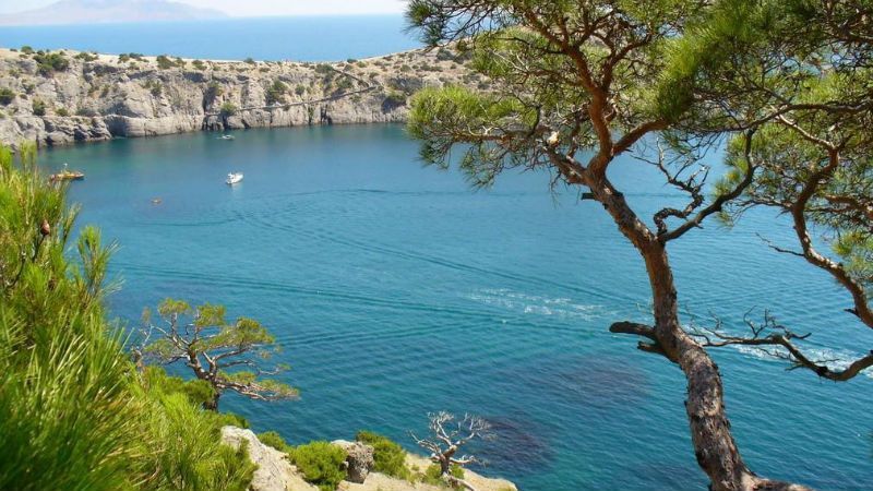 Эколог объяснила, почему отсутствие туристов в оккупированном Крыму – это хорошо Эколог объяснила, почему отсутствие туристов в оккупированном Крыму – это хорошо