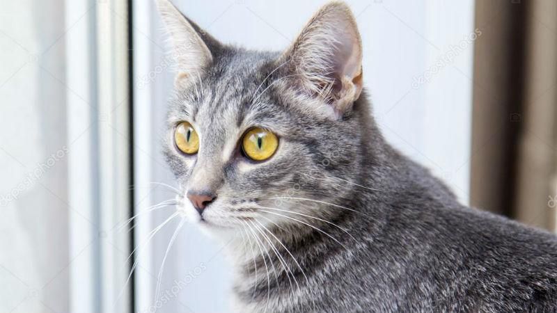 Українців знову чекає різка зміна погоди – прогноз на тиждень Українців знову чекає різка зміна погоди – прогноз на тиждень