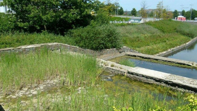 Руській мир у всій красі. В мережі показали фото занедбаного стадіону "Донбас Арена" 