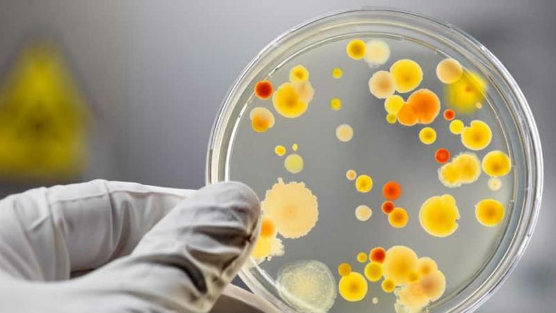 Ещё один случай ботулизма зафиксировали в Киеве Ещё один случай ботулизма зафиксировали в Киеве