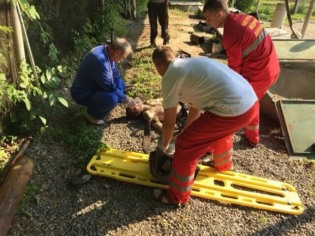 Рятувальники дістали тіло загиблого на АЗС у Білій Церкві