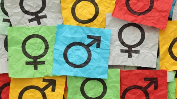 В Украине приняли должность Уполномоченного по гендерной политике В Украине приняли должность Уполномоченного по гендерной политике