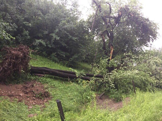 По Закарпатью пронесся ураган: опубликованы фото По Закарпатью пронесся ураган: опубликованы фото