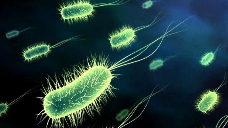 Еще один украинец умер от ботулизма Еще один украинец умер от ботулизма