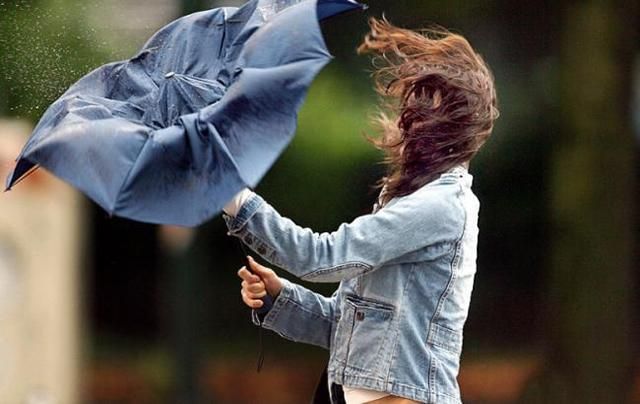 В Киеве сегодня поднимется сильный ветер: предупреждение от чрезвычайников В Киеве сегодня поднимется сильный ветер: предупреждение от чрезвычайников