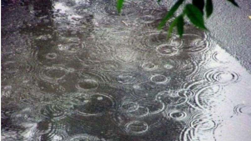 Град, шквальный ветер и грозы: Восточная Украина страдает от непогоды Град, шквальный ветер и грозы: Восточная Украина страдает от непогоды