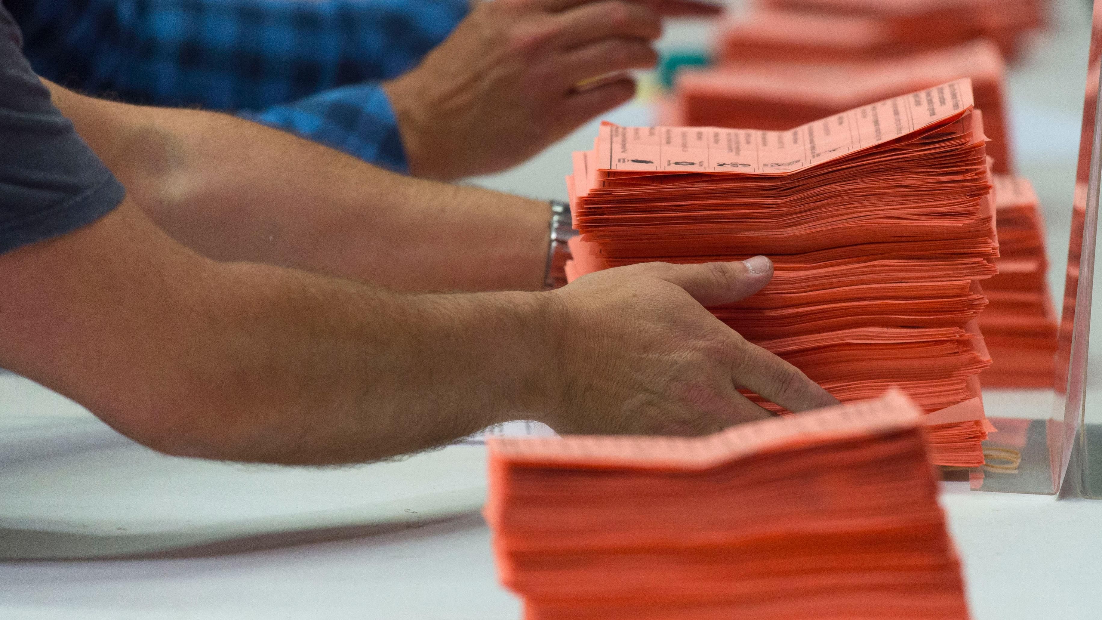 Переміг кіт і дивні костюми переможців: чим відзначилися вибори у Британії Переміг кіт і дивні костюми переможців: чим відзначилися вибори у Британії