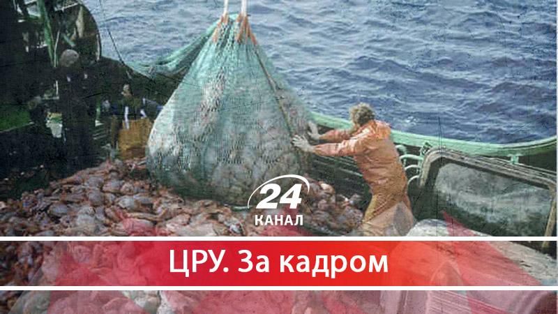 Гроші з води, або Хто в Україні переможе рибну мафію? Гроші з води, або Хто в Україні переможе рибну мафію?