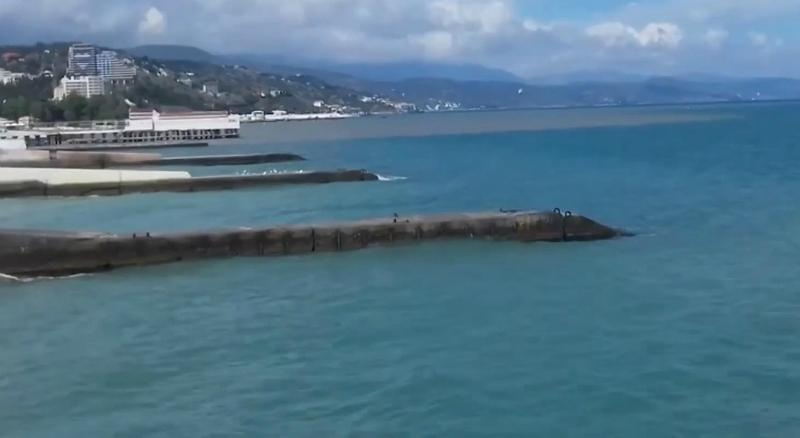 Инфекции, грязь и запущенность "райского уголка": как крымчане выдают мертвого пса за сонного

