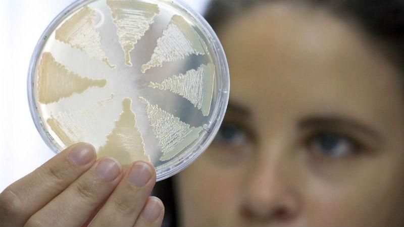 Ботулізм у Львові: вилучили величезну партію риби Ботулізм у Львові: вилучили величезну партію риби