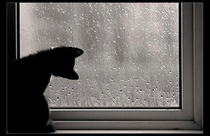 Невтішний прогноз: якою буде погода в Україні до кінця тижня Невтішний прогноз: якою буде погода в Україні до кінця тижня