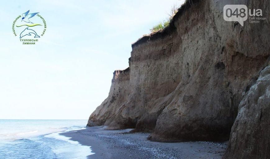 На Одещині знайшли унікальні рештки древньої тварини: опублікували фото На Одещині знайшли унікальні рештки древньої тварини: опублікували фото