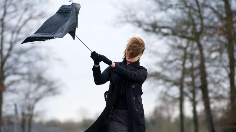 У Києві оголосили штормове попередження - 13 червня 2017 - Телеканал новин 24 У Києві оголосили штормове попередження - 13 червня 2017 - Телеканал новин 24