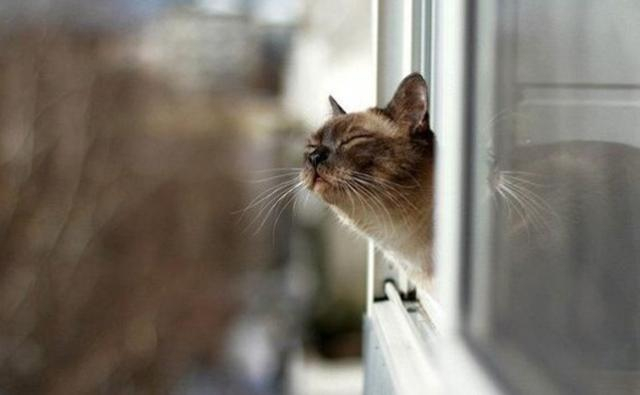 Погода на 14 июня в Украине будет похолодание