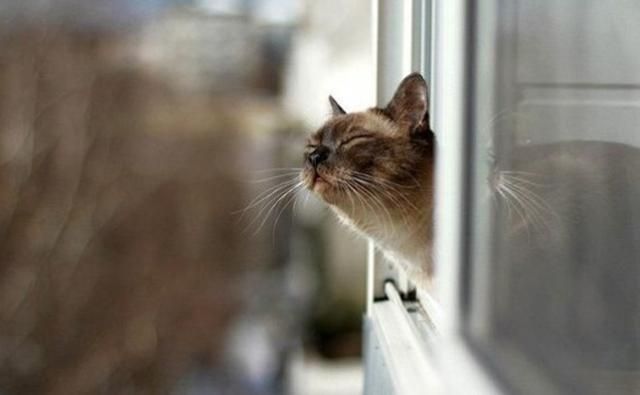 Погода на 14 июня в Украине будет похолодание Погода на 14 июня в Украине будет похолодание