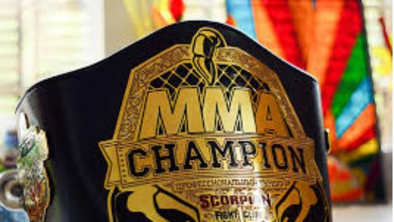 Украинские бойцы смешанных единоборств феерично одержали победу в финале турнира