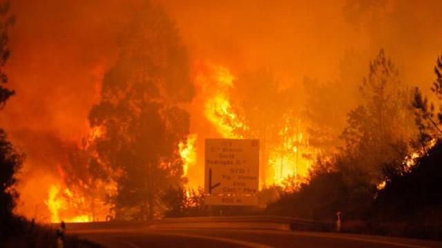 Масштабні пожежі у Португалії вже забрали 25 життів: фото і відео