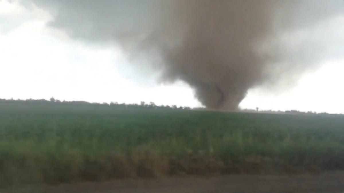 Вирубка лісів на Херсонщині може спричинити появу потужних смерчів Вирубка лісів на Херсонщині може спричинити появу потужних смерчів