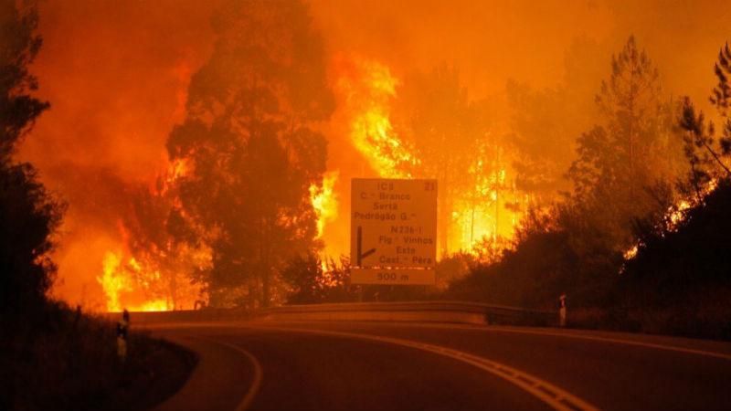 Страшні пожежі в Португалії: заживо згоріли понад 60 людей