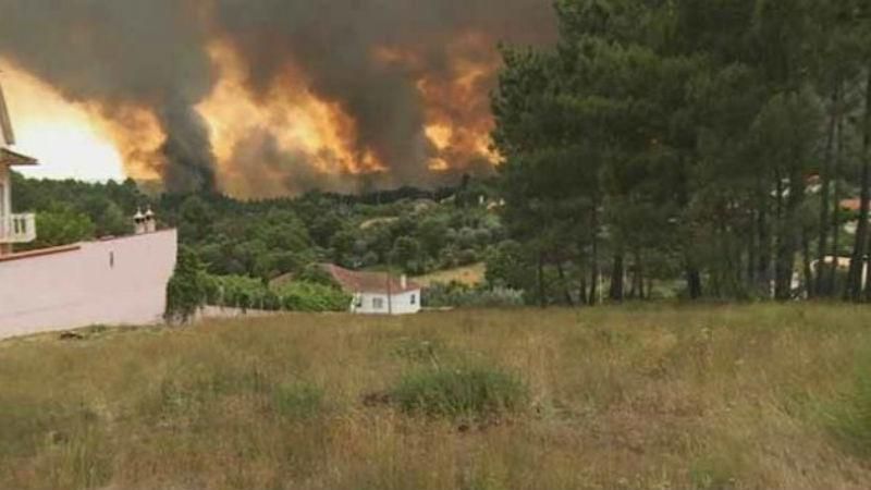 В ЕС отреагировали на масштабные пожары в Португалии