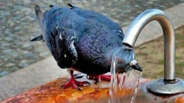 Погода 20 июня в Украине: в Киеве настоящая жара Погода 20 июня в Украине: в Киеве настоящая жара