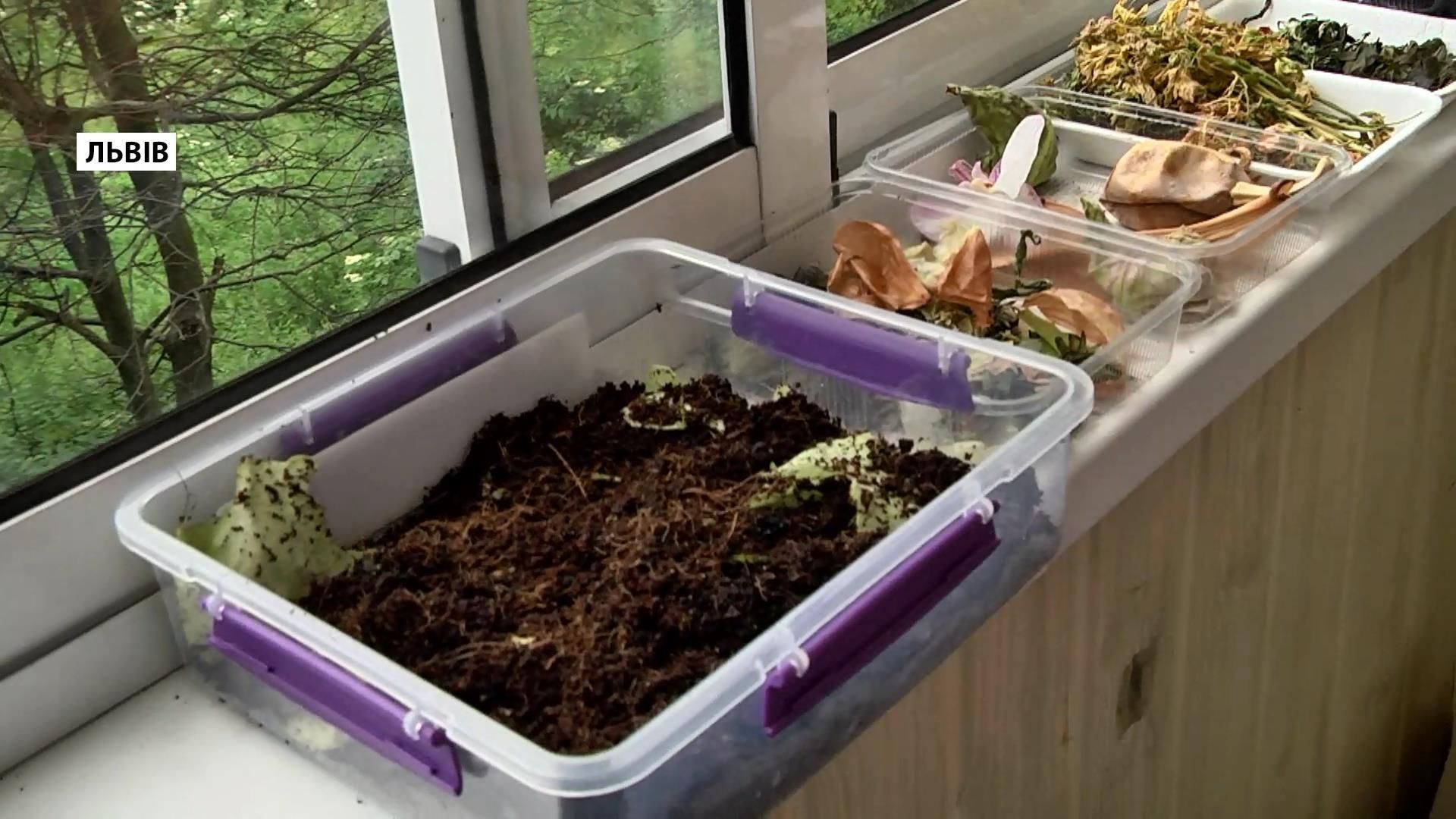 Как львовяне самостоятельно и экологически решают проблемы с мусором Как львовяне самостоятельно и экологически решают проблемы с мусором