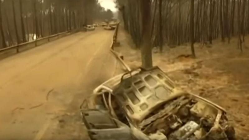 Сожжена земля: появилось жуткое видео последствий пожаров в Португалии