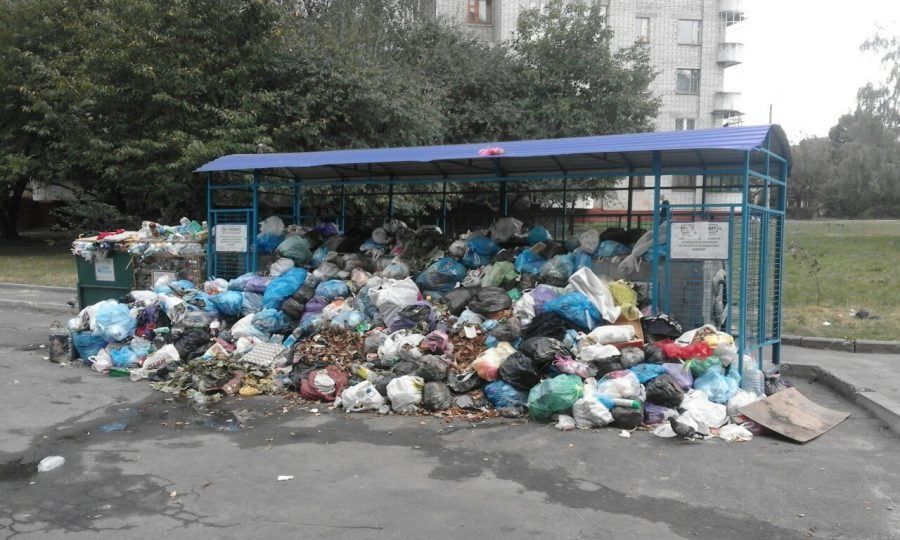 Через накопичене сміття у Львові дуже високий рівень бактерії