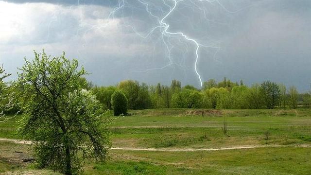 Прогноз погоды 25 июня в Украине: погода от синоптиков