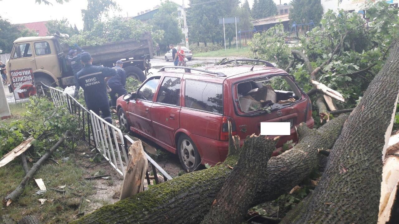 Сильна буря сколихнула Львів: з'явились фото наслідків