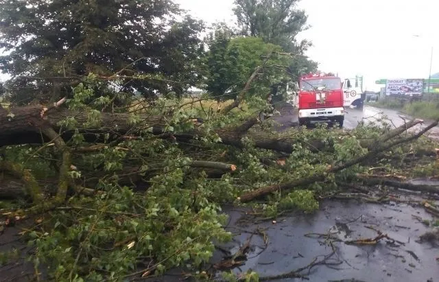 Сильні зливи у Мукачеві розмили асфальт Сильні зливи у Мукачеві розмили асфальт
