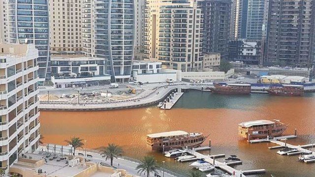 Вода оранжевого цвета заполнила элитный район Дубай: фото необычного явления