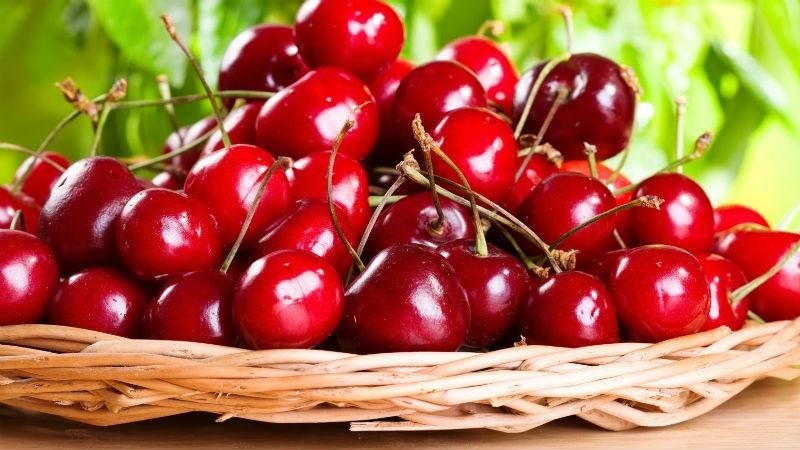 Цены шокируют: сколько стоит черешня в оккупированном Крыму Цены шокируют: сколько стоит черешня в оккупированном Крыму