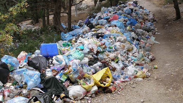 Итоги блокады: сколько тонн мусора накопилось во Львове