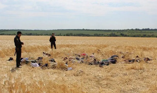 Поліція затримала 31 особу, які намагались захопити ферму на Кіровоградщині