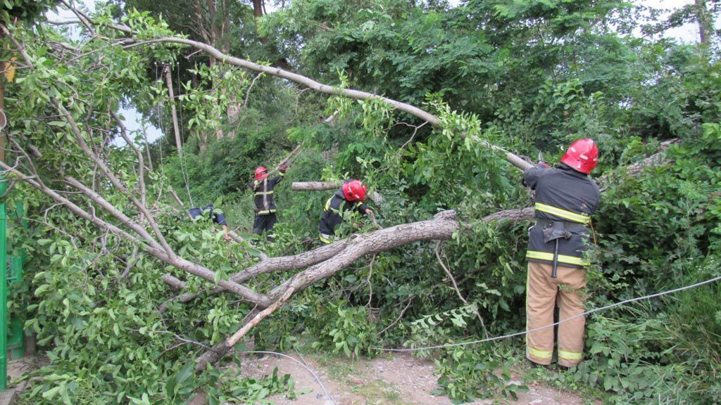 Буревій на Чернівеччині: поламано дерева та позривало дахи будинків