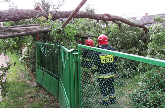 Негода в Україні забрала життя людини, десятки міст та сіл залишаються без світла Негода в Україні забрала життя людини, десятки міст та сіл залишаються без світла