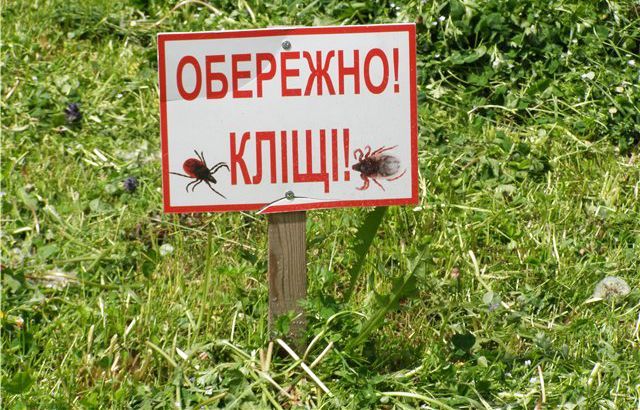Нашествие клещей атакует Харьковщину: более 10 человек в больницах Нашествие клещей атакует Харьковщину: более 10 человек в больницах